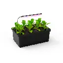 Hydroponic Indoor Greenhouse Cloner L11 – LED Propagation Station With Light and Nutrients