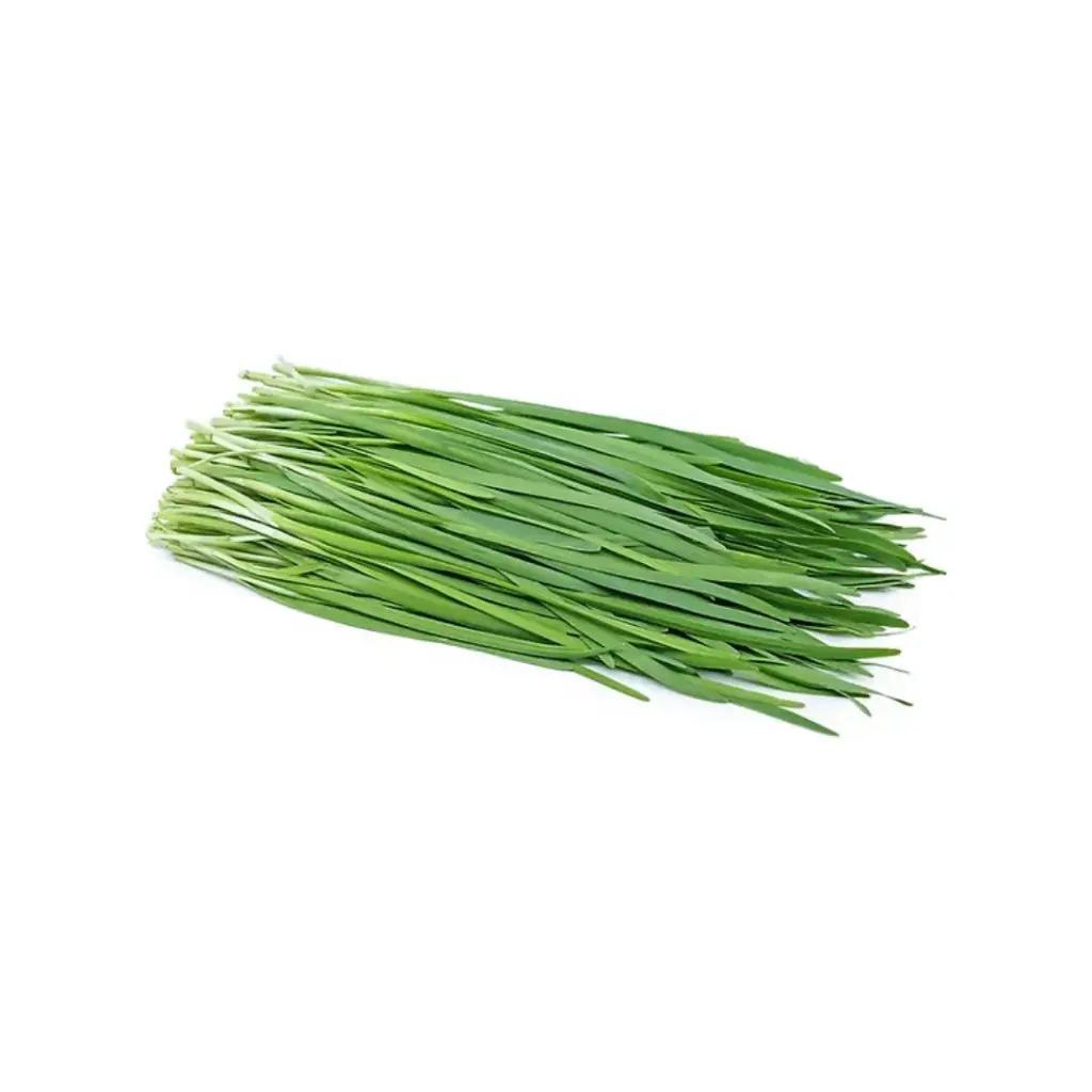 Chives