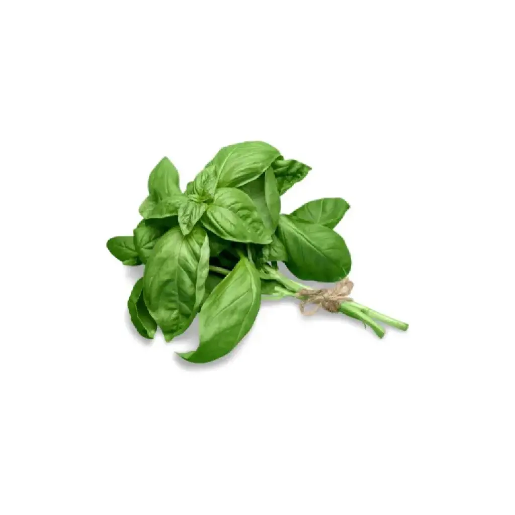 Basil (copy)