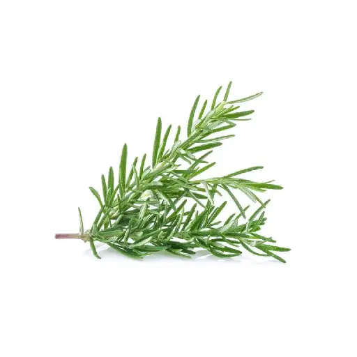 [SEED19] Rosemary
